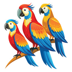 Macaw birds set isolated shilhotee vector on white background © Sanzida
