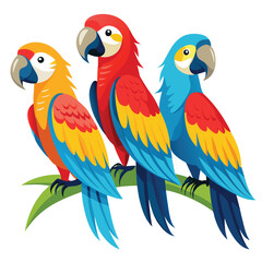 Macaw birds set isolated shilhotee vector on white background