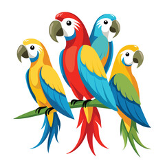 Macaw birds set isolated shilhotee vector on white background