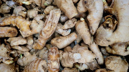 Fresh Ginger Roots Close-Up