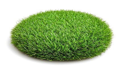 Lush green grass clump, isolated on white