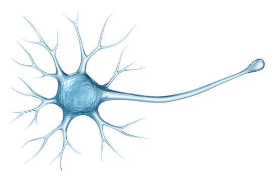 3D rendered illustration of a transparent blue neuron  - Ilustra&ccedil;&atilde;o 3D renderizada de um neur&ocirc;nio azul transparente