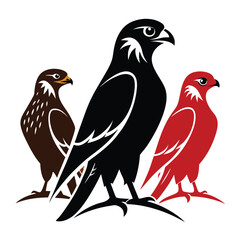 Felcon birds set isolated shilhotee vector on white background