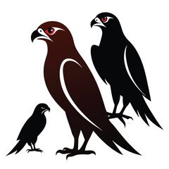 Felcon birds set isolated shilhotee vector on white background