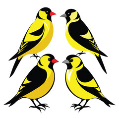 Goldfinch birds set isolated shilhotee vector on white background