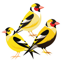 Goldfinch birds set isolated shilhotee vector on white background