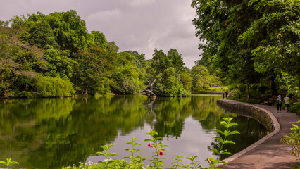 morning wide view of a swan lake at singapore botanic gardens