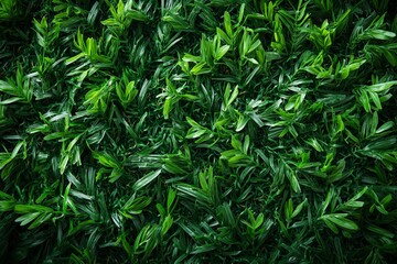 Green foliage of vibrant leaves creates a beautiful nature scene