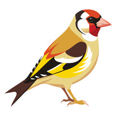 Goldfinch birds set isolated shilhotee vector on white background