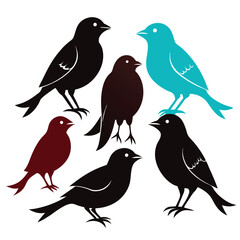 Nightingale birds set isolated shilhotee vector on white background