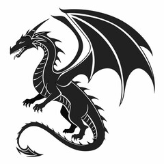 black and white dragon