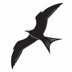vector illustration of an eagle