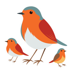 Robin birds set isolated shilhotee vector on white background