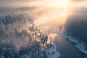 Fototapeta premium Aerial view of a snow covered forest with a river at sunrise casting a golden glow on the landscape