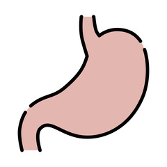 Obraz premium シンプルな胃のイラスト