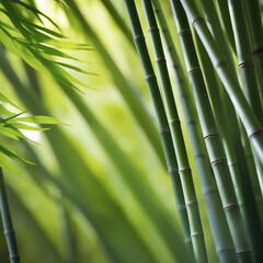 Obraz premium Bamboo stalks on a soft green background