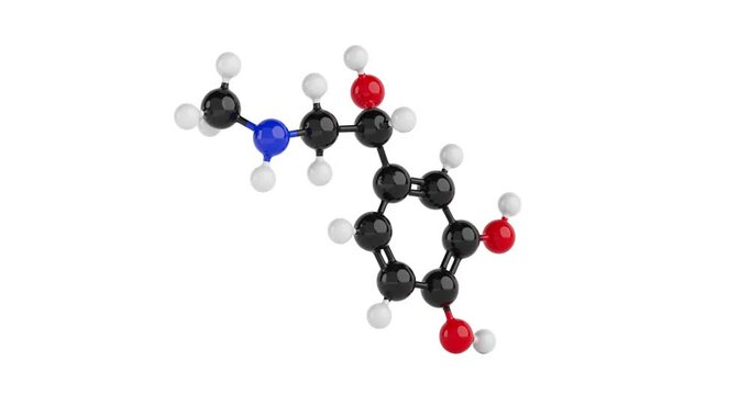 4k Resolution Video: Structural Model of Epinefrine Molecule Chemical Formula Seamless Looped Rotating on a white background with Alpha Matte