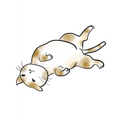 CAT ネコ　ねこ　猫