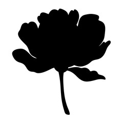 Black silhouette of a blooming peony flower on a white background