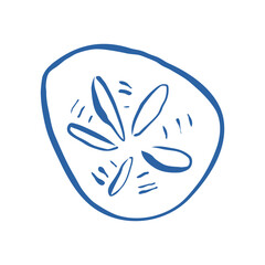 Hand drawn sand dollar illustration in minimal style