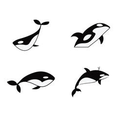 whale icon vector illustration template design