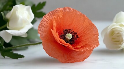 Vibrant red flower closeup soft focus white background floral photography