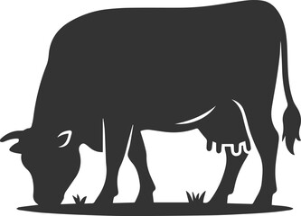 Angus cattle grazing silhouette