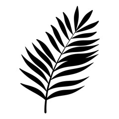 Fototapeta premium Single black silhouette illustration of a tropical palm leaf on white background