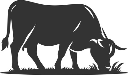 Angus cattle grazing silhouette