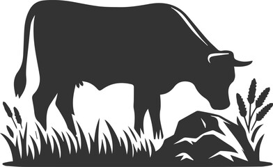 Angus cattle grazing silhouette