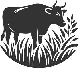 Angus cattle grazing silhouette