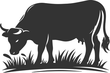 Angus cattle grazing silhouette