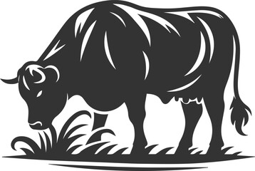 Angus cattle grazing silhouette