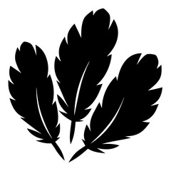 A Stylish Black and White Image of Three Feathers Symbolizing Freedom