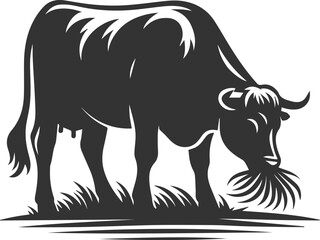 Angus cattle grazing silhouette