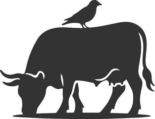 Angus cattle grazing silhouette