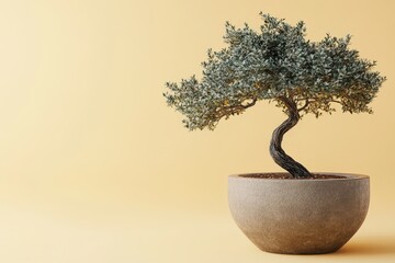 Obraz premium Elegant bonsai tree in a neutral-toned pot.