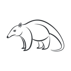 vector image of a tamandua animal