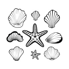 Seashell and Sand Beach Line Illustration Minimal Design