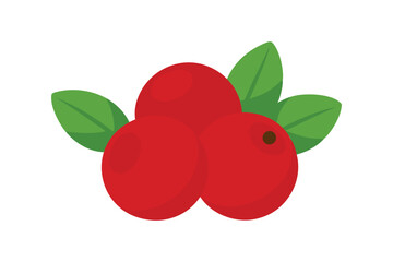 Obraz premium Fresh Cranberry vector on white background