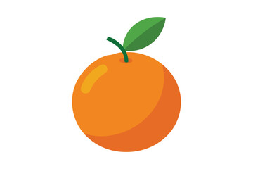 Fresh Orange vector on white background