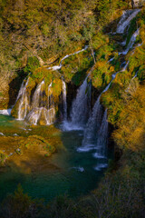 Waterfalls in the forest flowing into lakes. Tourists visit famous Plitvice park in Croatia. Mountain streams with clear water. Waterfalls of Plitvice Lakes on a summer day.