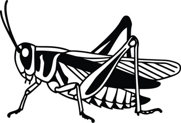grasshopper on a branch