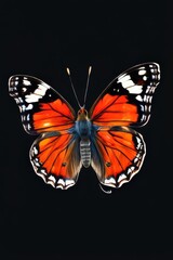 Obraz premium an AI Image Generator, Vibrant Butterfly with Orange and Blue Wings