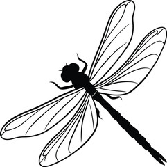 dragonfly isolated on white