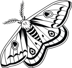 vector illustration of an abstract butterfly