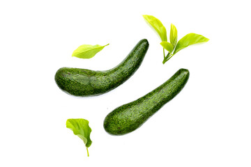 Long avocado fruit, Fresh long neck avocado