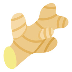 Fresh Ginger Root Vector Illustration – Isolated Flat Design