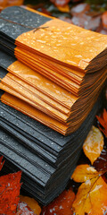  Stacked Black and Orange Paper on Autumn Leaves