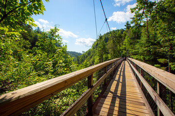 Suspension bridge over a gorge on a sunny day